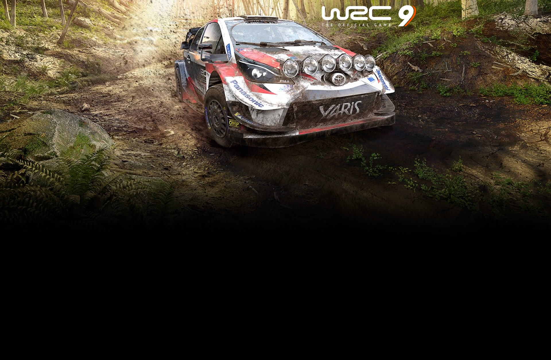 WRC 9 FIA World Rally Championship Deluxe Edition (Epic Games)